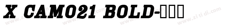 X CAM021 Bold字体转换